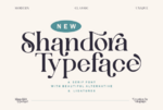 Shandora-Fonts-12757815-1-1-580x387.png