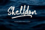 Shelldon-by-Az-Creatype-Studio-580x387.jpg