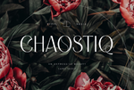 Chaostiq-Fonts-13149026-1-1-580x387.png