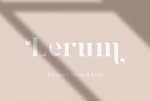 Lerum-Fonts-13726197-1-1-580x387.png