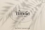 Woodie-Fonts-13722247-1-1-580x387.jpg