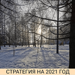 private-investor-aleksandr-petrov-strategija-na-2021-god.png