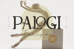 Palogi-Fonts-10412814-1-1-580x386.jpg