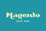 Magento-Fonts-11655944-1-1-580x387.jpg