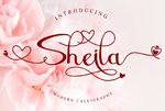 Sheila-Fonts-7060038-1-1-580x387.jpg