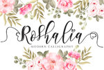 Roshalia-Fonts-6426009-1-1-580x387.jpg