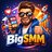 bigsmm